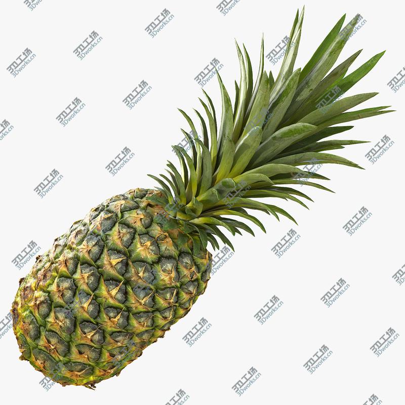 images/goods_img/20210319/Realistic Whole Pineapple 3D model/1.jpg